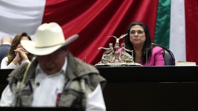 Una desproporci&oacute;n, calificar como delito el flujo migratorio: Marcela Guerra Castillo